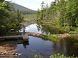 boat launch & beaver dam, Adirondacks